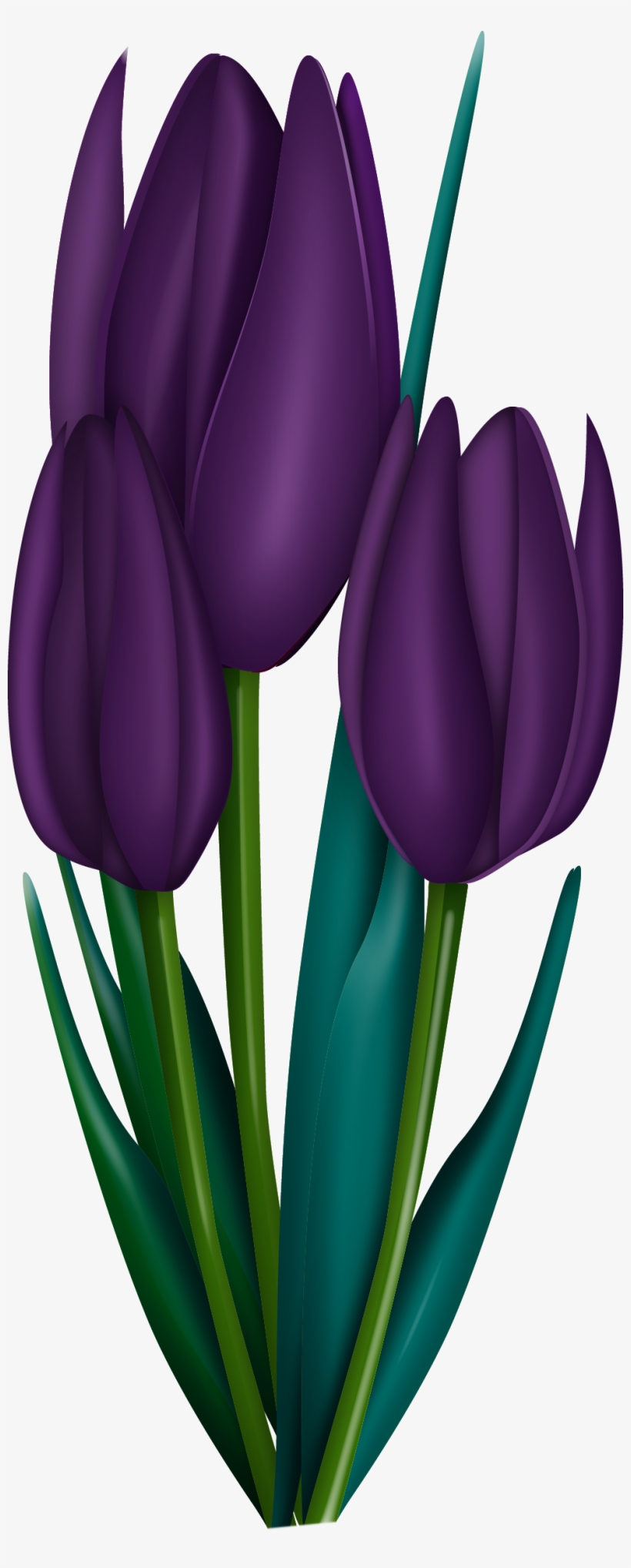 0 14366e Cdbddc37 Orig - Flower, transparent png