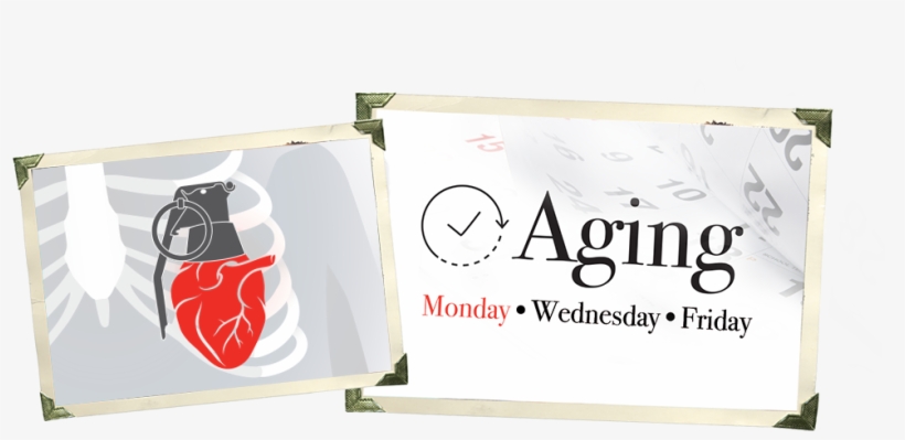 It's October 11th, 2013, And I Wait In The Lobby Of - Hg Capital, transparent png