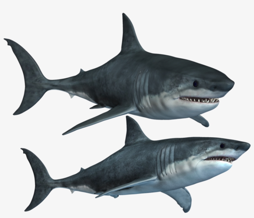 Shark Mouth Png - Акулы Png, transparent png