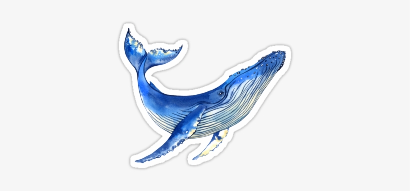 Quot Watercolor Whale Quot Stickers By Evgeniia Zagreeva - Whale Sticker, transparent png
