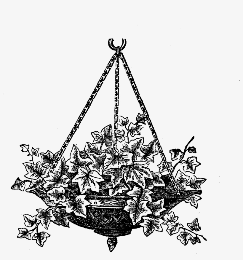 This Is A Wonderfully Detailed Digital Image Transfer - Hanging Fern Clipart Black And White, transparent png