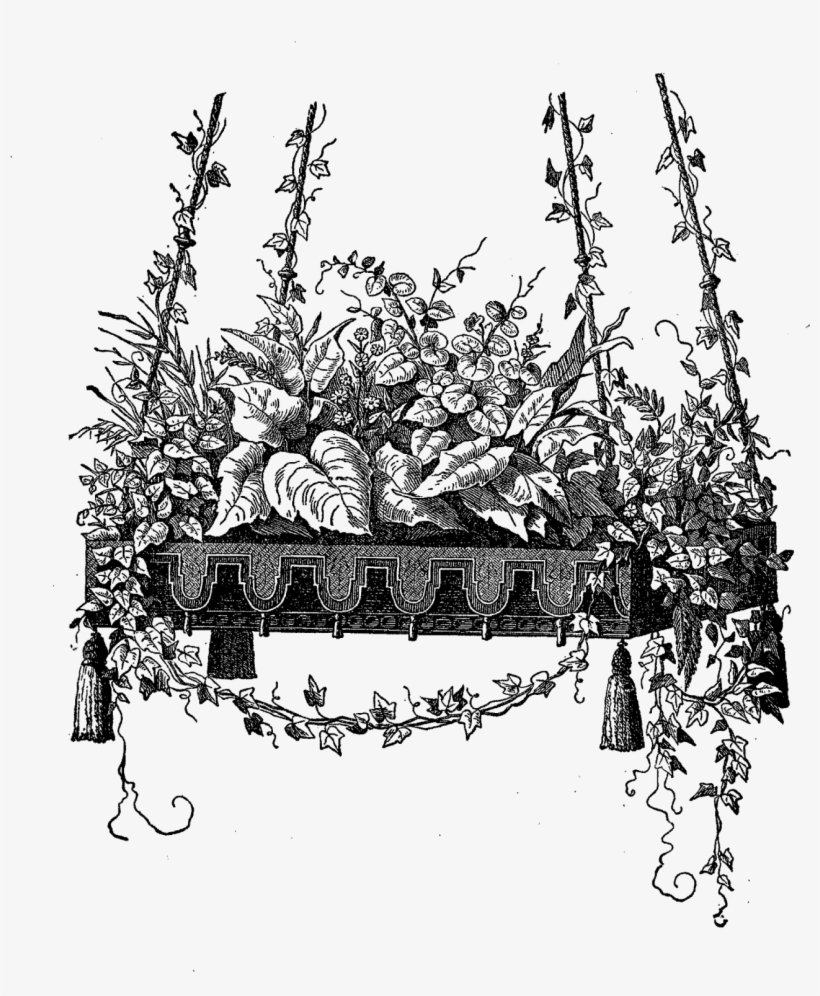 These Are Wonderful Digital Image Transfers Of Beautiful - Hanging Plant Clipart Black And White, transparent png