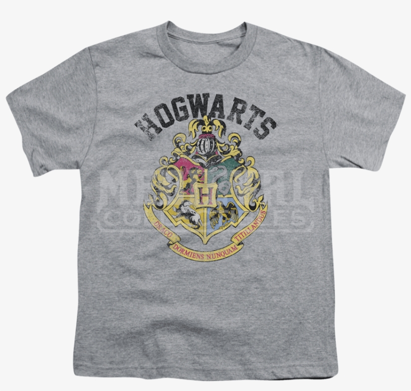 Youth Harry Potter Hogwarts Crest T-shirt - Green Day Dookie Shirt, transparent png