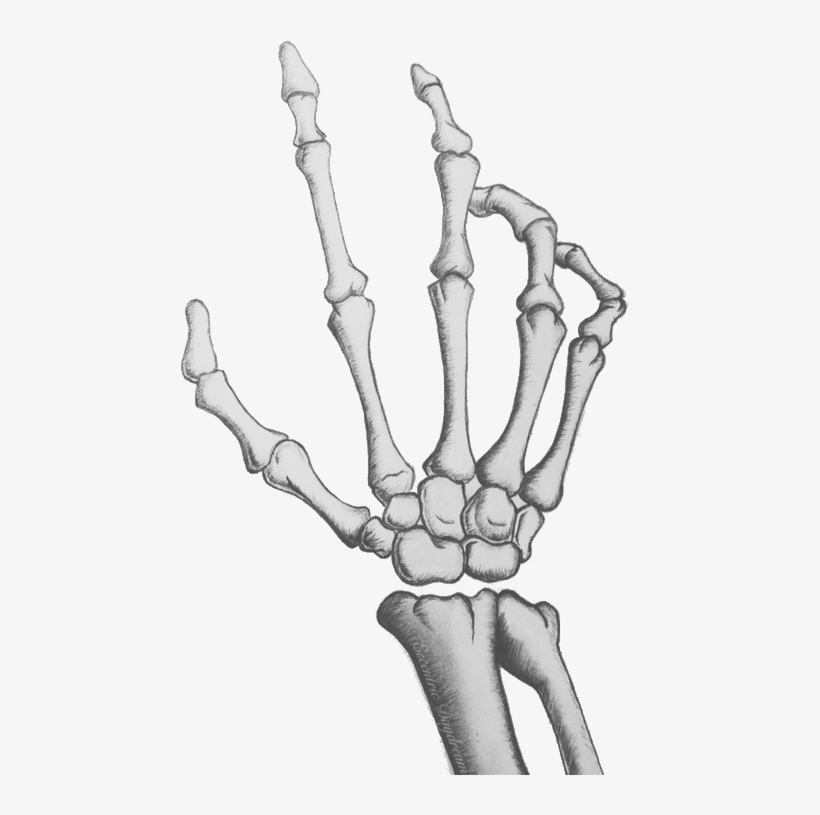 Skeleton Hand Soul P - Skeleton Hand Transparent, transparent png