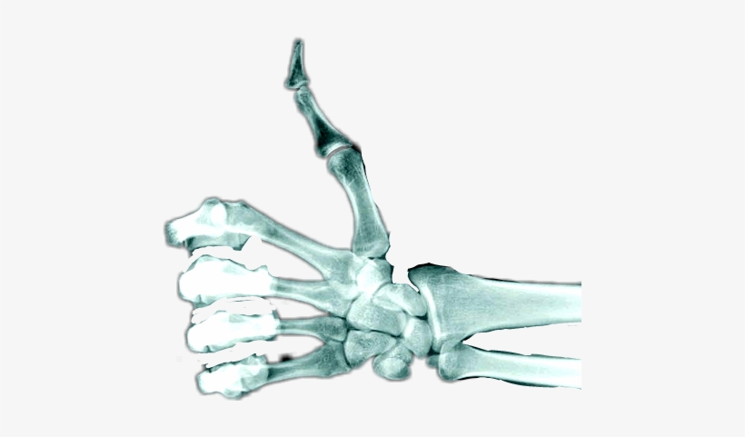 Skeleton Hand Thumbs Up, transparent png