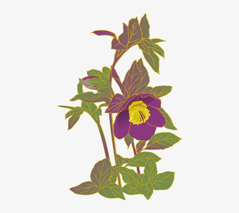 Christrosen Png, transparent png