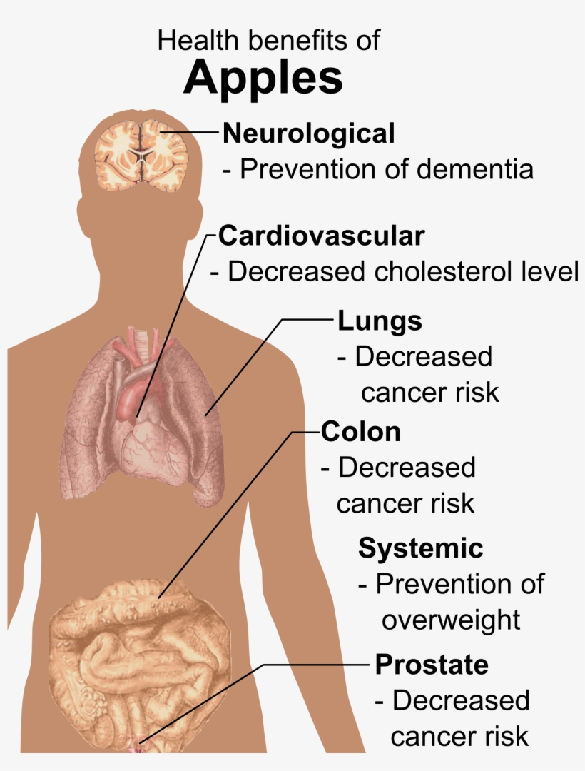 Health Benefits Of Apples - Benefit Of An Apple, transparent png