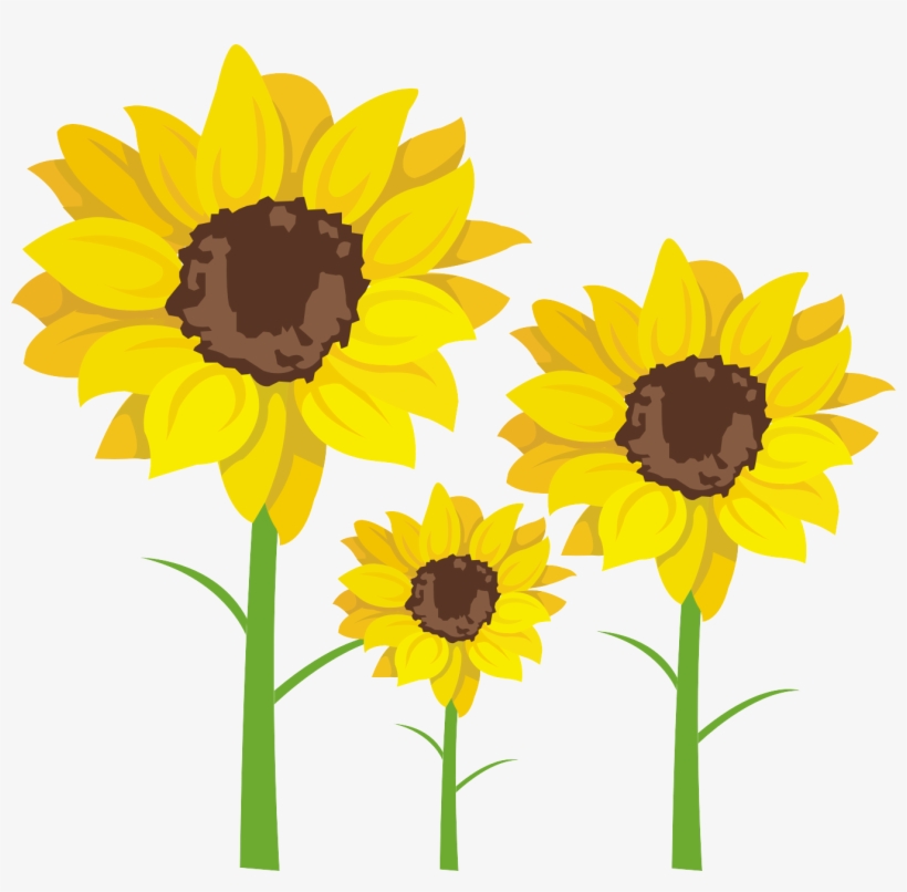 Common Clip Art Transprent Png Free Download - Sunflower Class Clipart, transparent png