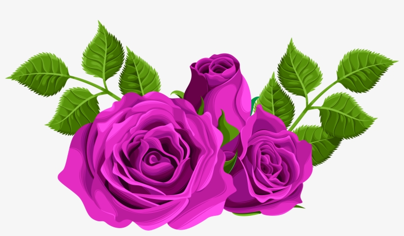 Clip Black And White Download Decorative Png Clip Art - Pink Roses Clip Art, transparent png