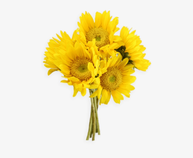 Free Png Sunflowers Png Png Images Transparent - Yellow Flower Bunch Png, transparent png