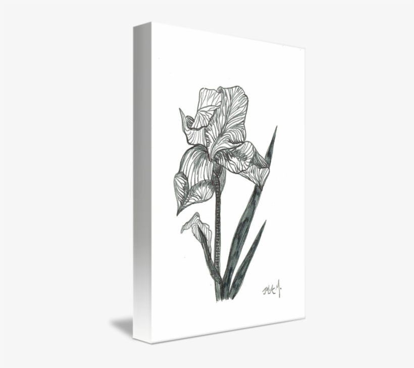 Collection Of Free Download On Ubisafe By - Openclipart, transparent png