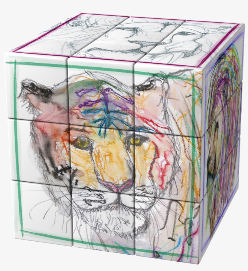 Tjili's Art Now On Official Rubik's Cubes - Artist, transparent png
