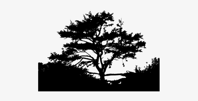 Silhouette Nature Landscape Sunset - Silhouette, transparent png