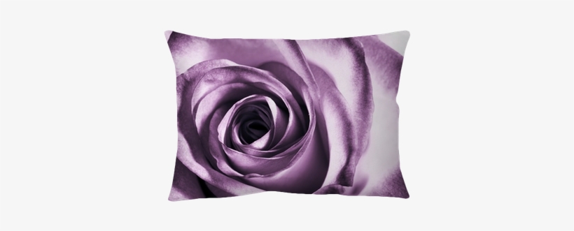 Rose Mural Wallpaper Uk, transparent png
