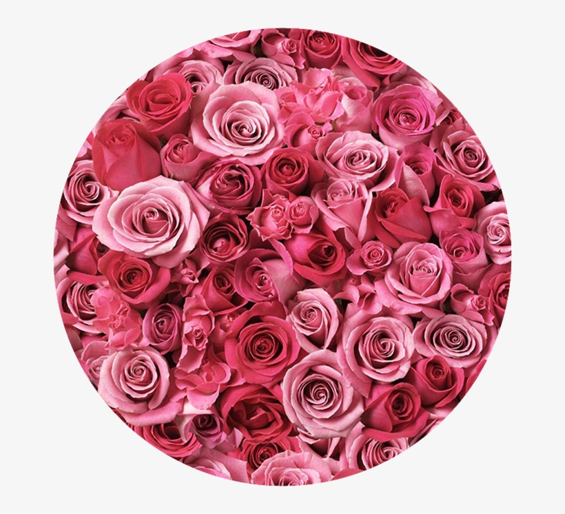 Bed Of Roses Entertainment - Roses In A Circle Png, transparent png