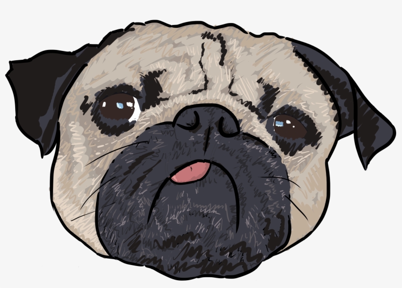 2 Why Are You A Pug - Pug Cartoon Transparent, transparent png