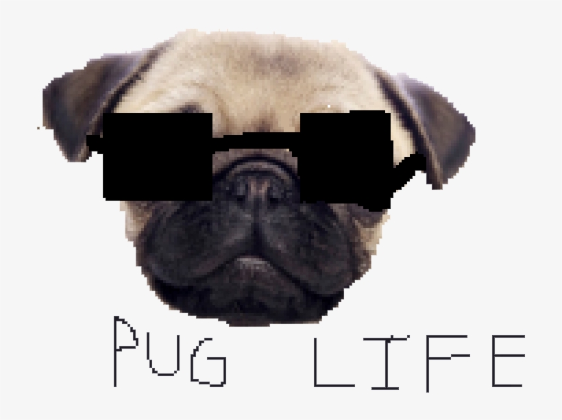 Pug Life Png Clipart - Pug Life Png, transparent png
