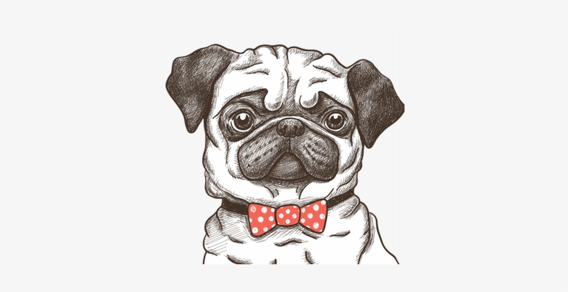 Hug A Pug Coloring Book For Adults: Much Loved Dogs, transparent png