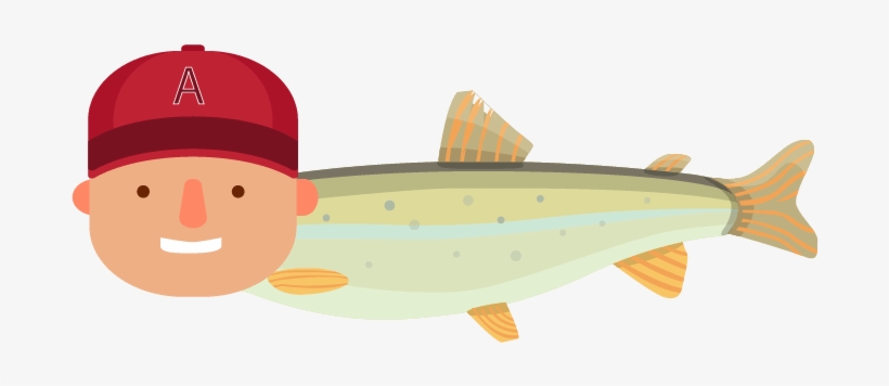 Advertisement - Fish, transparent png
