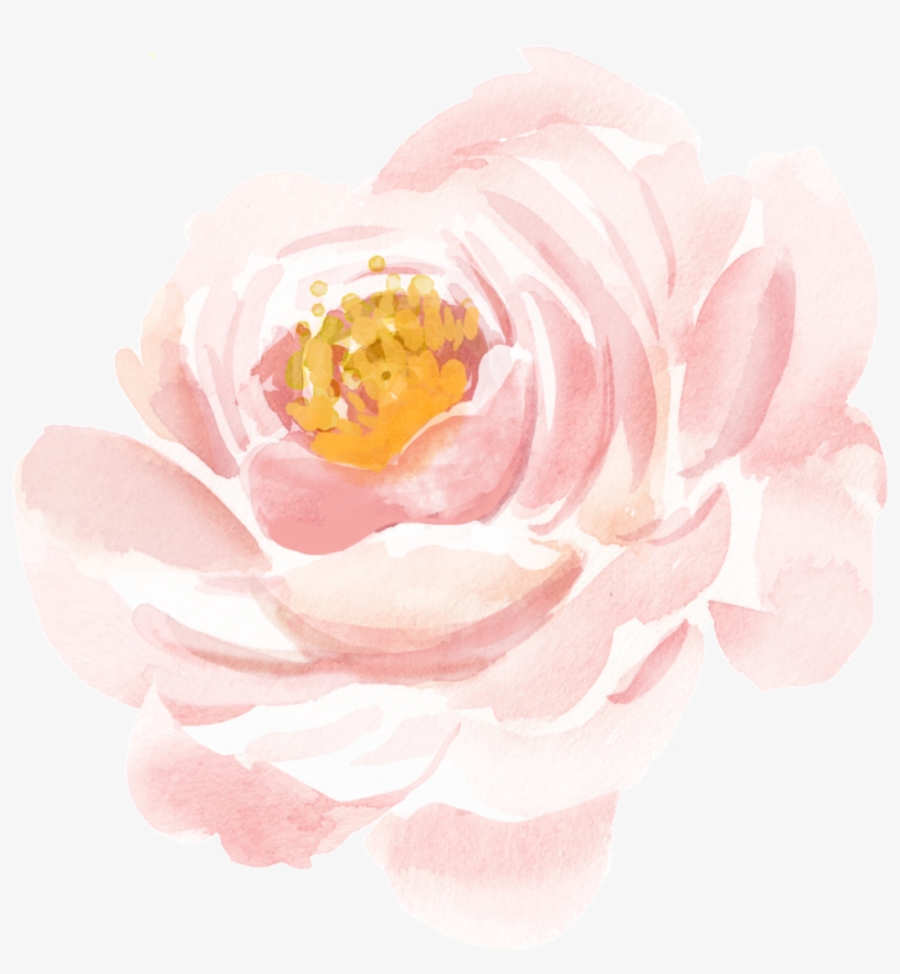 Realistic Watercolor Flower Material - Pink, transparent png
