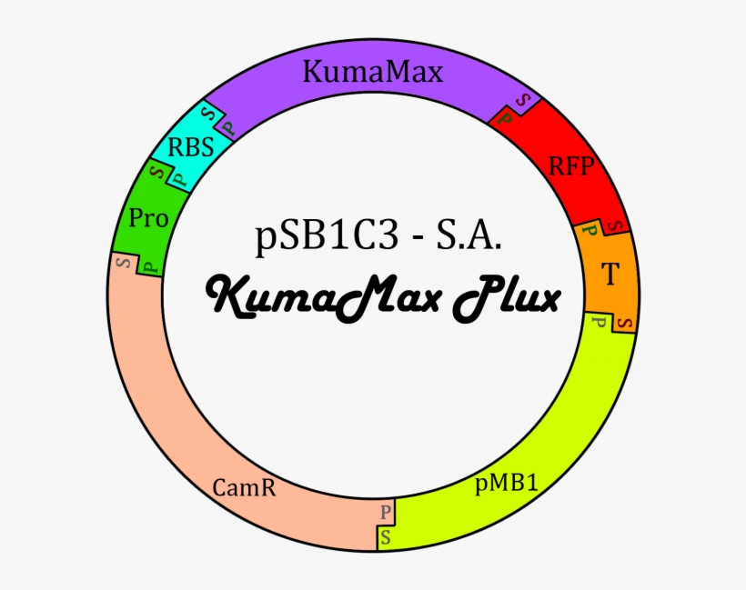 File - Circulo - Make It A Great Day, transparent png