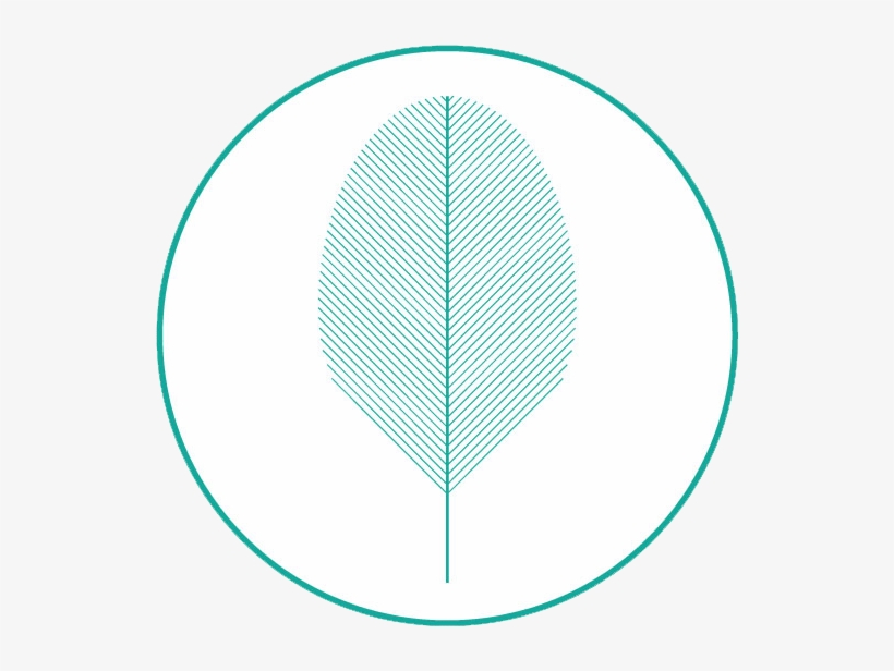 20171127 Logo Cf Circulo - Circle, transparent png