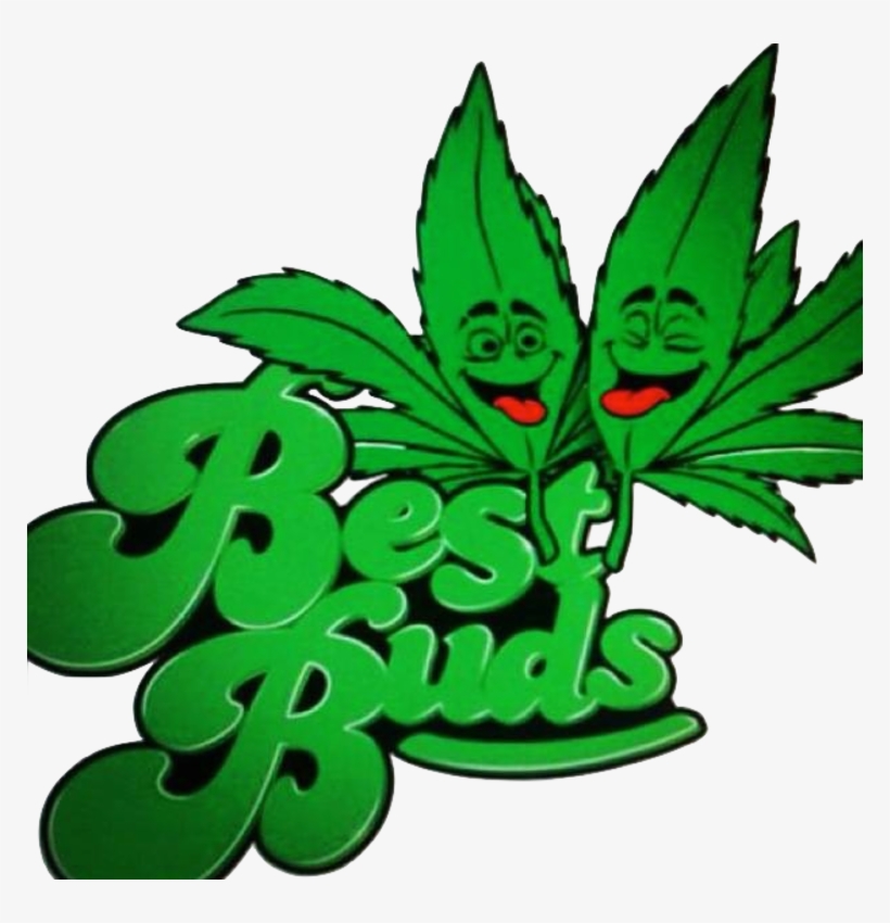 Best Buds Basement - Best Bud-t Mugs, transparent png