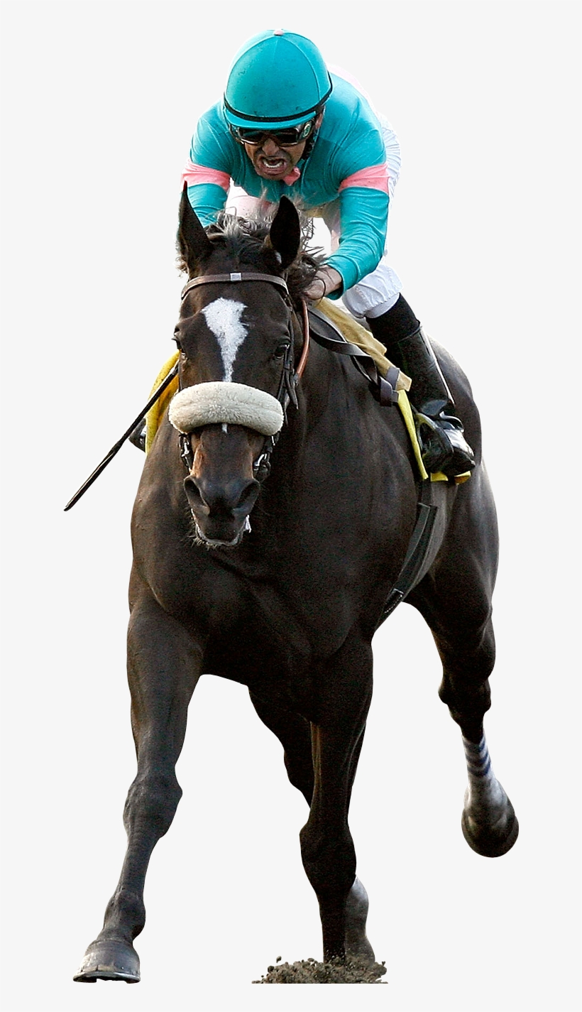 Zenyatta And Mike Smith Photo Zenyatta, transparent png