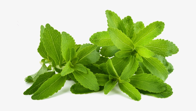 Learn More Stevia Leaf - Stevia Liquid Drops, transparent png