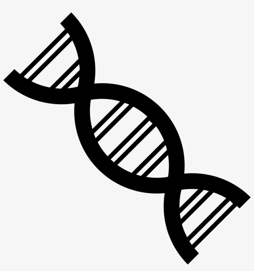 Dna Strand - - Genetics Black And White, transparent png