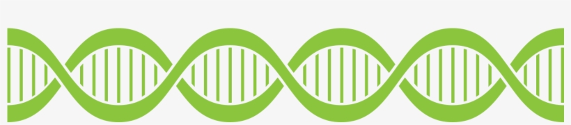 Health System Operational Excellence - Advanced Mechanical Models Of Dna Elasticity, transparent png