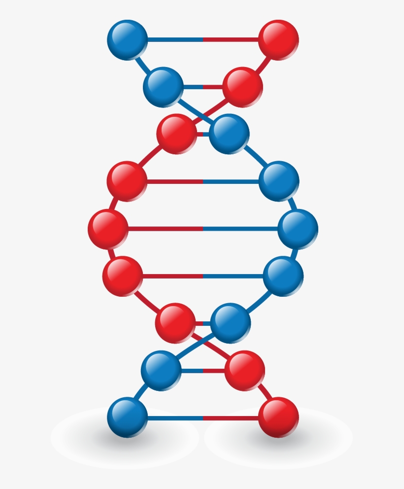 Png Images, Pngs, Dna, Dna Strand, Forensics, (id 37026) - Modelo Dna, transparent png