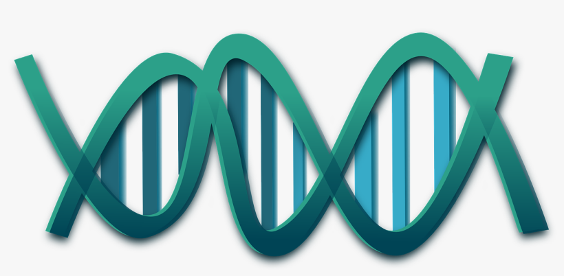 X The Foundation For Peripheral Neuropathy Diabetic - Dna Clip Art, transparent png