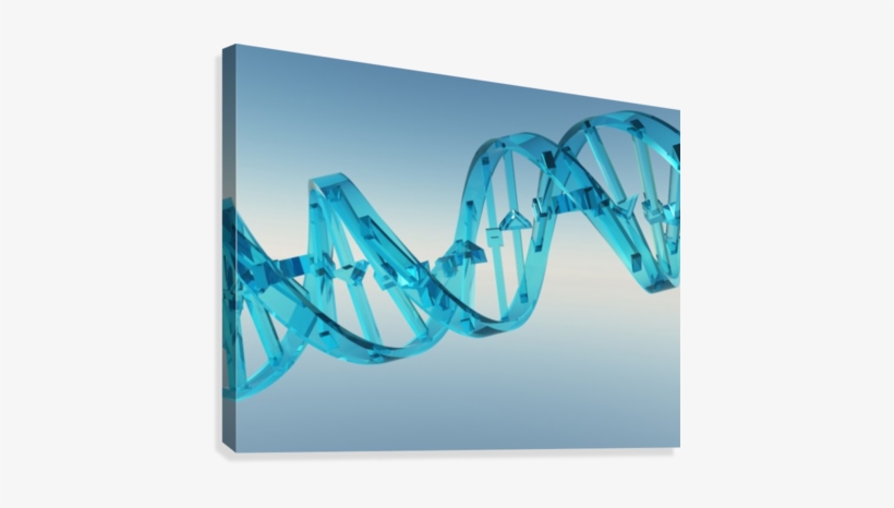 Dna Strand Canvas Print - Dna, transparent png