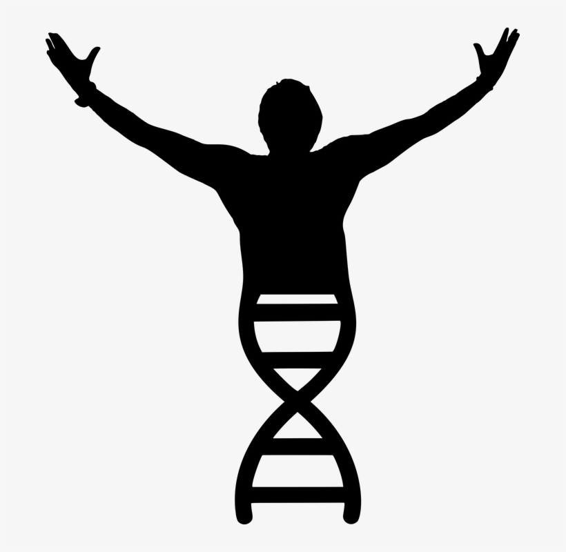Dna Images - Biology Clipart, transparent png