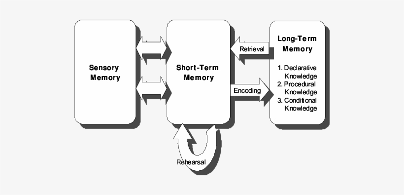 What's Critical To Understand, Is That The Capabilities - Domain-specific Learning, transparent png