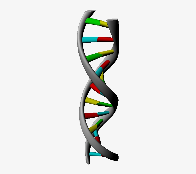 3d Dna Strand Rendering In Maya - Rendering, transparent png
