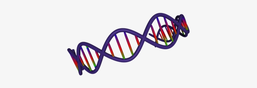 Dna Strand - พันธุกรรม Png, transparent png
