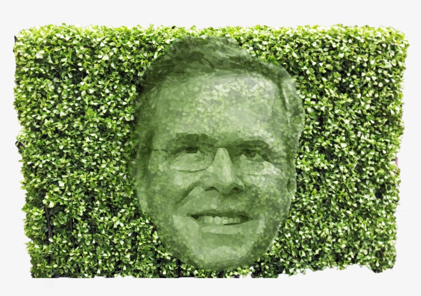 Clipper Next Bush Hedge Jeb Bush - Hedge, transparent png