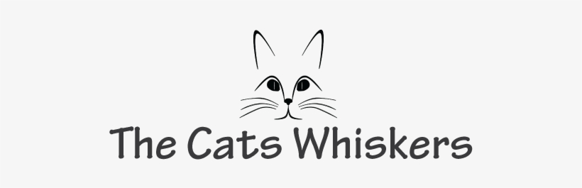 Com Is Cat Lovers' Site Dedicated To Spreading The - Camp Waziyatah, transparent png