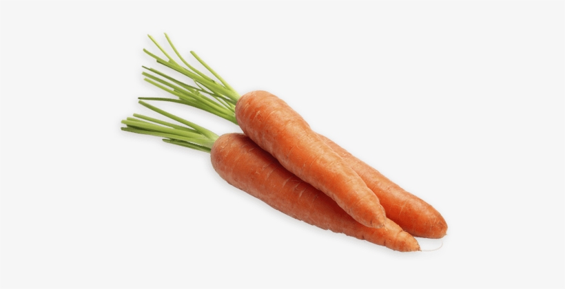 Carrots - Maduracion De La Zanahoria, transparent png
