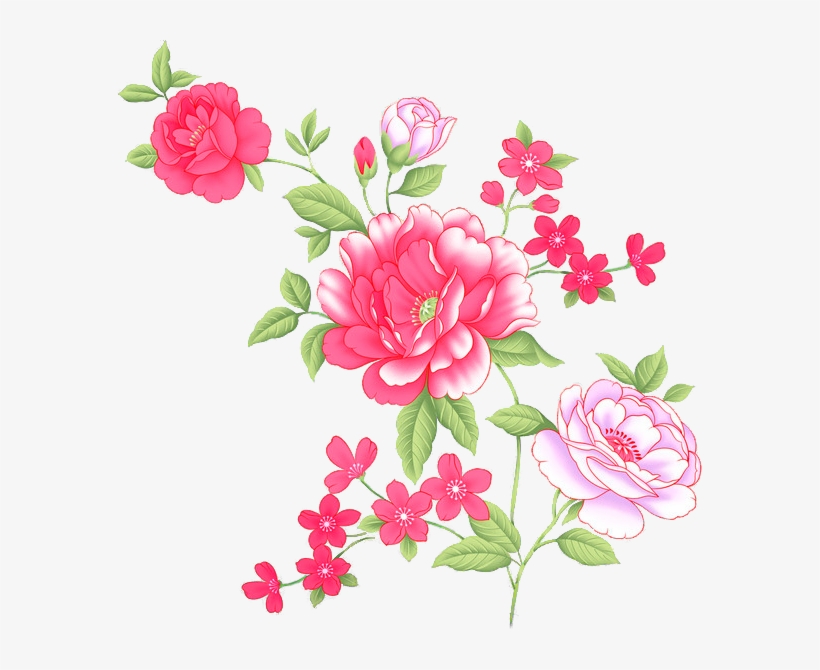 Flower Prints - Garden Roses, transparent png