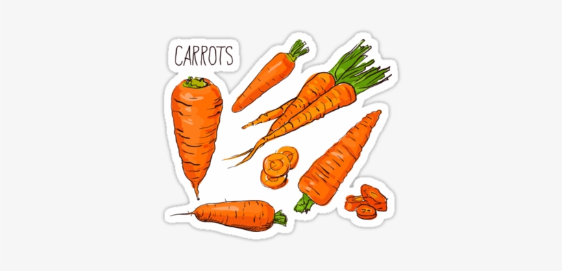 U3 - Drawing, transparent png