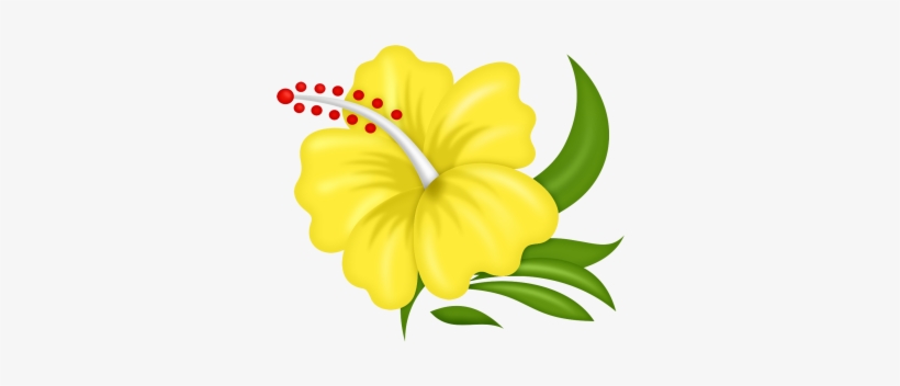 0 Aa65b 2cfd3082 Orig - Flores Hawaianas Animadas Png, transparent png