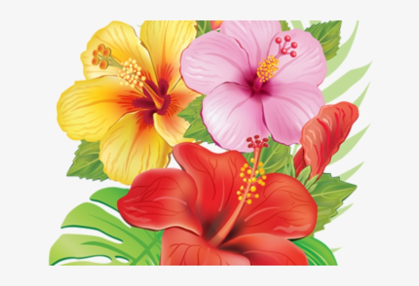Yellow Hibiscus Shower Curtain, transparent png