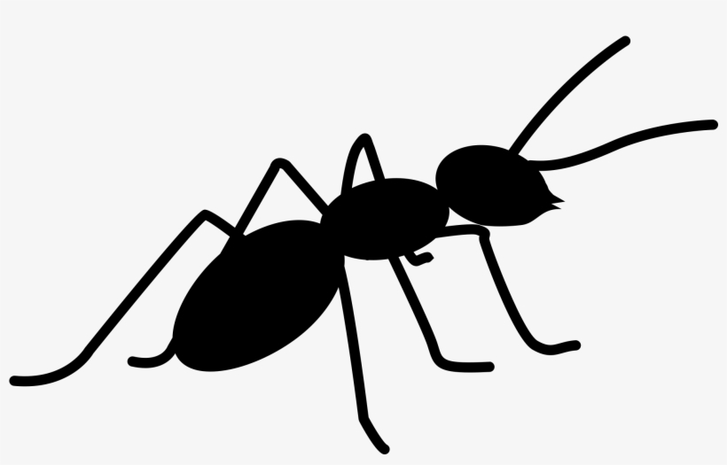 Ant Png - Ant Creative Commons, transparent png