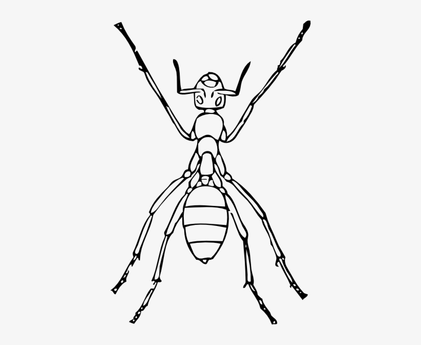 Ant Svg Clip Arts 390 X 592 Px, transparent png