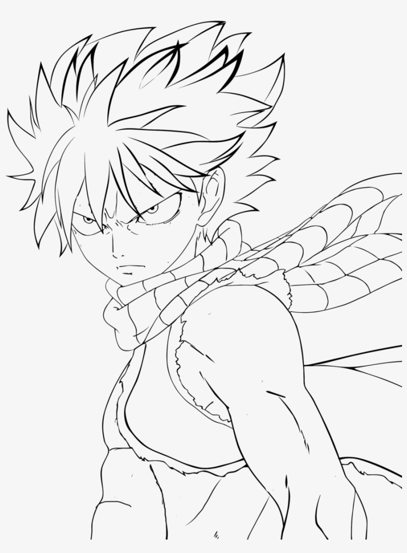 Picture Transparent Collection Of Free Natsu Download - Draw Anime Fairy Tail, transparent png