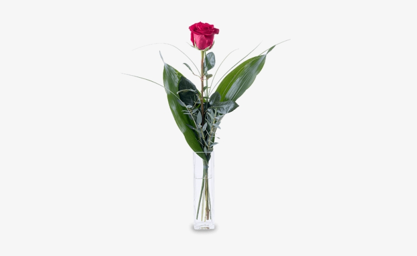 Flecha De Cupido - Rose, transparent png