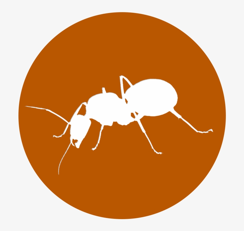 Ant Replica - Ville De Saint Etienne, transparent png